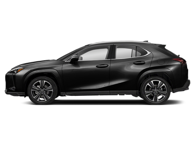 2024 Lexus UX UX 250h Premium