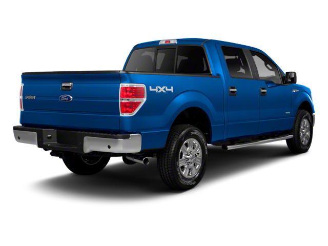 Used 2010 Ford F-150 Harley-Davidson with VIN 1FTFW1EV7AFD50078 for sale in Pueblo, CO